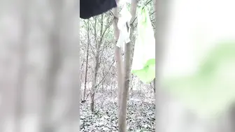 带小情人【户外】小树林激情啪啪【上篇】全程露脸口交大鸡巴多体位蹂躏抽插，让狼友看她骚表情，树林里充满浪叫声好刺激