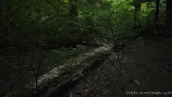 森林 第一集 相遇（4k）